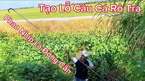 Chuyến đi Câu Cá 2 ngày 1 đêm ở Vùng Biên Giới câu Cá Rô Đồng và Cá Tra @Caucalongan62  Phần 1