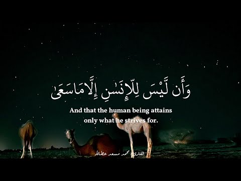 ساعة كاملة تلاوة لمن أراد الهدوء والراحة النفسية للدراسة والتركيز القارئ محمد مسعد