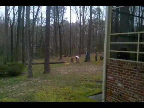 Cutting Down a 100 Foot Tall Pine Tree - the right way - YouTube