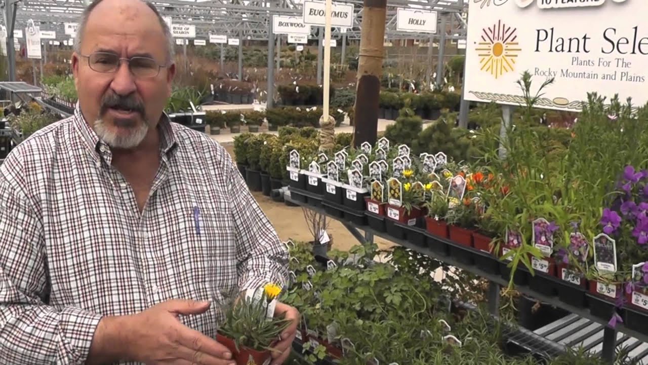 Perennials At Nick S Garden Center And Farm Market Youtube
