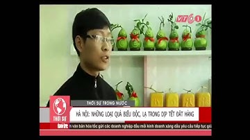 Bưởi Hồ Lô Tài Lộc 2015 - www.Vuabuoiholo.com