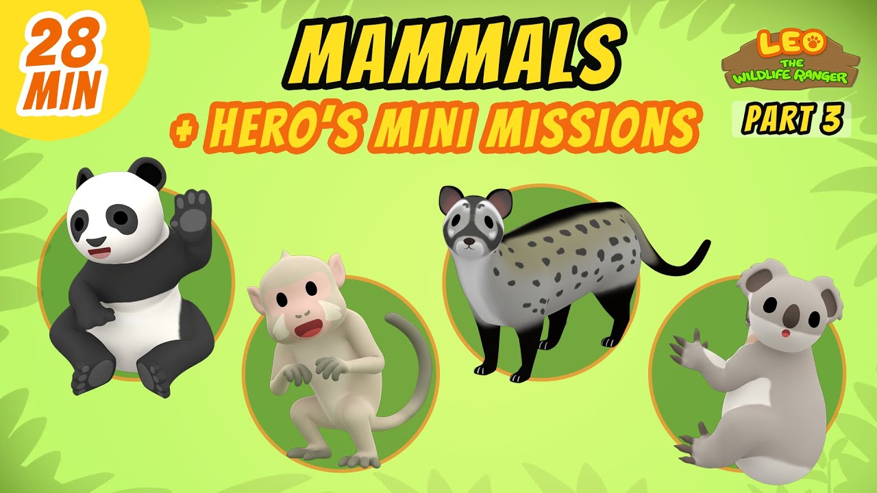 Mammals (Part 3/8) - Junior Rangers and Hero's Animals Adventure | Leo
