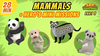 Mammals (Part 3/8)  Junior Rangers and Hero's Animals Adventure | Leo the Wildlife Ranger