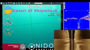 Underwater Navigation. Side scan sonar of a shipwreck