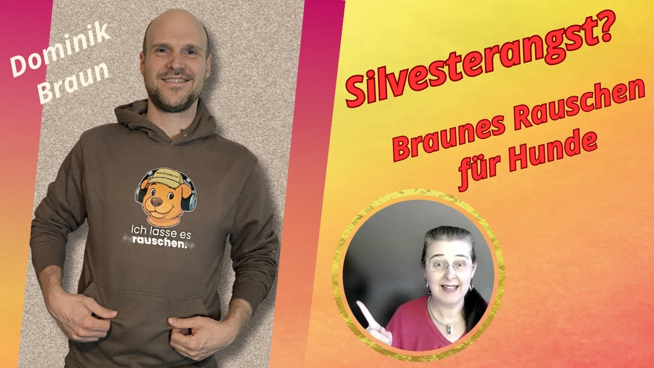 Silvesterangst beim Hund: Wie braunes Rauschen hilft  🐶