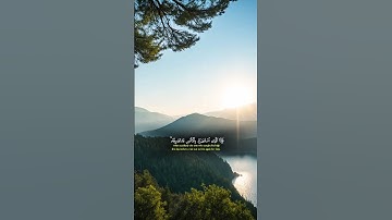 القران الكريم ❤️ ارح قلبك بي آيات القرآن الكريم ❤️ #quran #islamic #fyp #follow