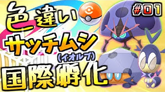国際孵化 Youtube