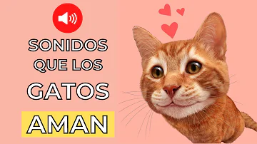 ¿Qué sonidos les gustan a los gatos?