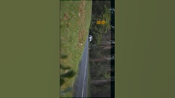 How to Get Moody Green Color Grading (Color Grade Your Videos Like The Batman)