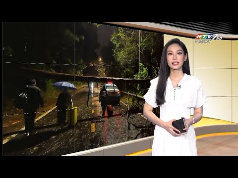 Video CHUYỆN TRƯA 12H HTV7 - NGÀY 10.08 - youtube