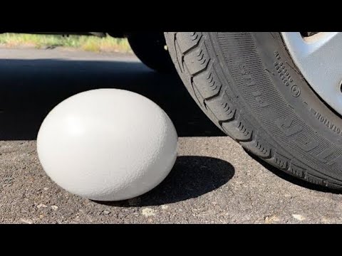 Crushing Crunchy & Soft Things by Car! - EXPERIMENT VS CAR - YouTube