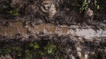 D&D | Driftwash Path Part 1 Grid | Animated Battle Maps