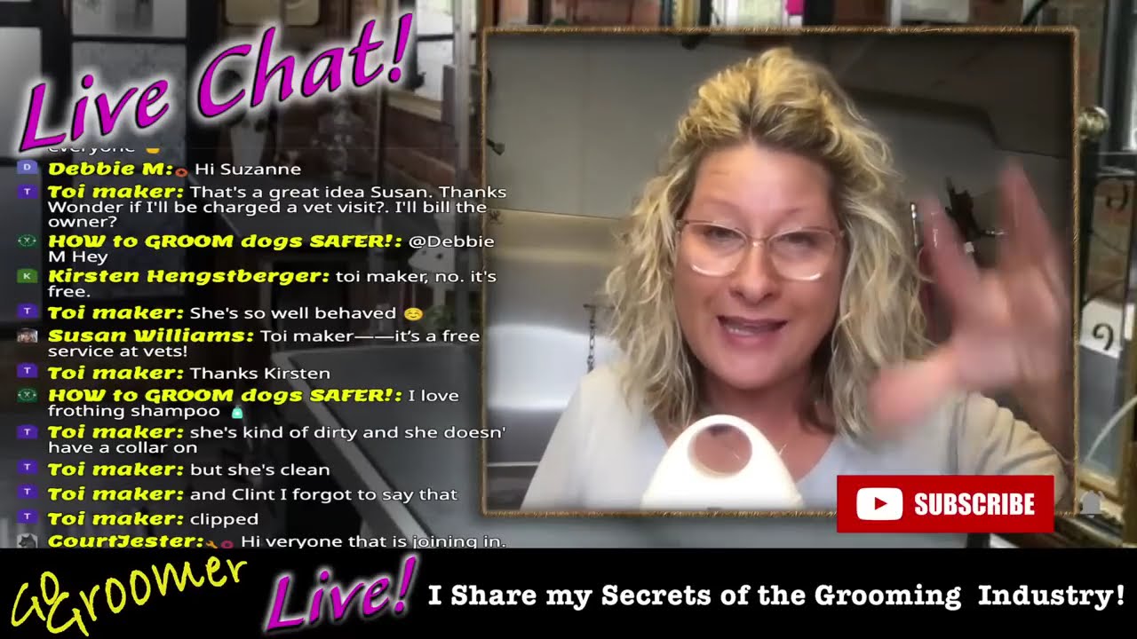 Your DOG GROOMING QUESTIONS Answered LIVE (Part1)