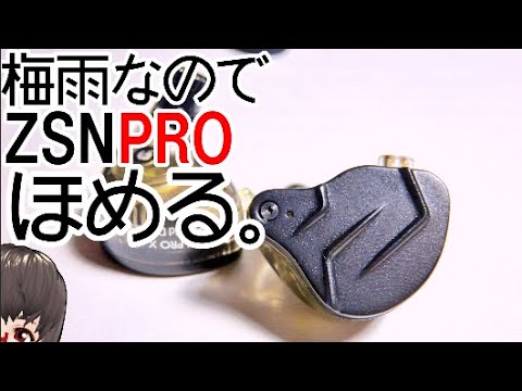 君を低音脳に誘う低価イヤホンKZ ZSNPRO X - YouTube