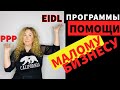 БЕСПЛАТНЫЕ ДЕНЬГИ ОТ ГОСУДАРСТВА.  PPP/EIDL - что выгоднее для малого бизнеса и как получить?