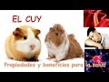 Linaza, chía y ajonjolí - Propiedades y beneficios - YouTube