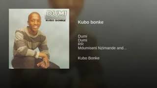 kubo bonke_ Dumi Mkokstad