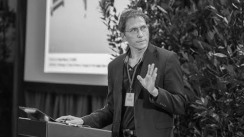 M. Arndt: What quantum-interference assisted molecule metrology can tell us about real ... (EmQM17)