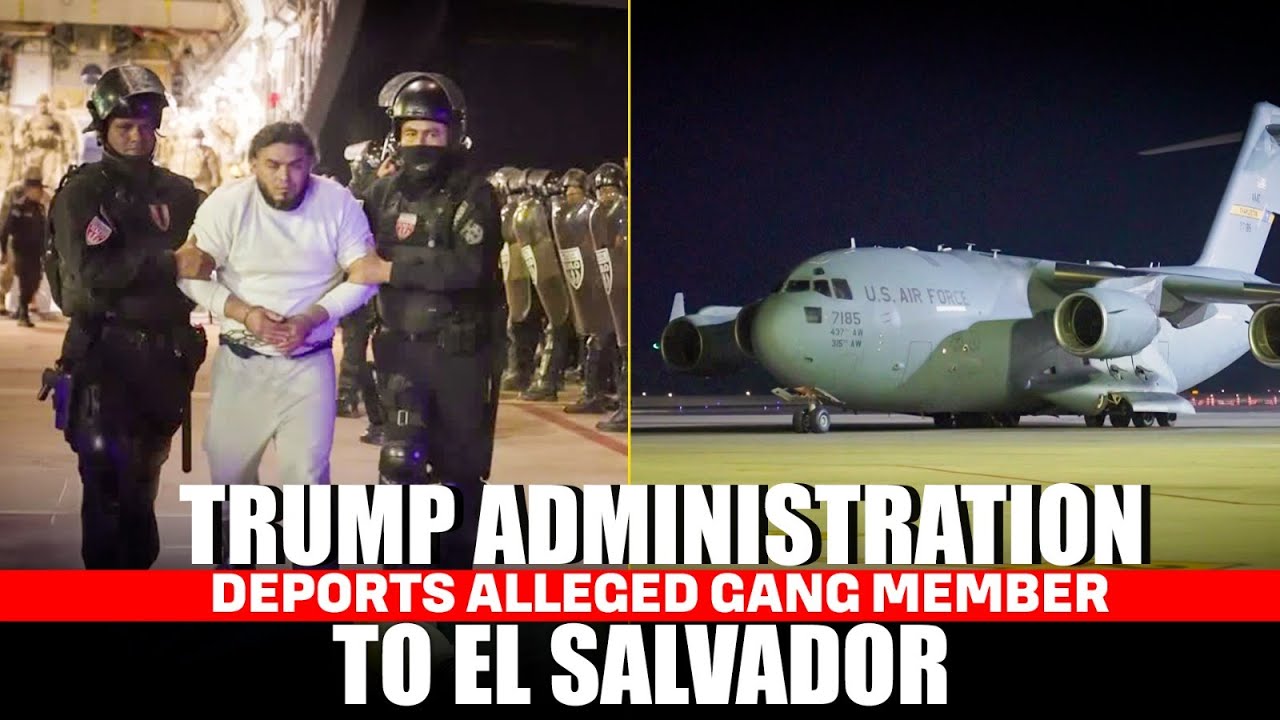 US deports more alleged gang members to El Salvador I USA I Trump I ...