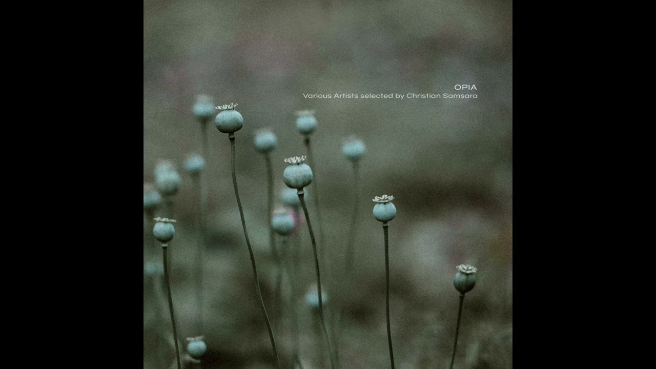 Lars Leonhard - Depth Perception (Ashes Edit) bekijken op YouTube Lars Leonhard - Depth Perception (Ashes Edit) bekijken op YouTube
