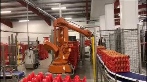 Robot depalletizer + washers for egg trays and pallets + robot palletizer - by Triplelima bv