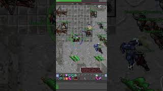 Celebrity Tibia 400 MS - Raubitters Castle Running! Hardcore #tibia #tibia2026 Wealth