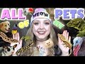 All of my pets 50