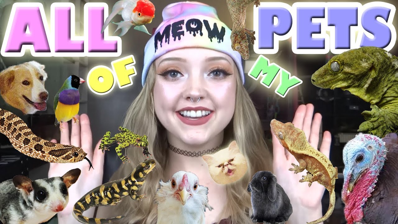 ALL OF MY PETS! 50+! - YouTube