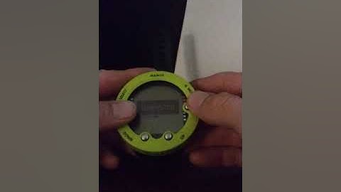 Dive Computer Use