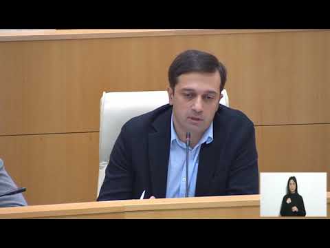 ლევან იოსელიანი საგამოძიებო კომისიის შექმნის შესახებ