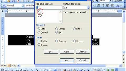 Word 2003 Tutorial Removing & Clearing Tabs Microsoft Office Training Lesson 11.2