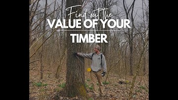 Get a Free Timber Valuation