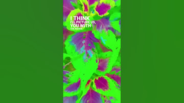 Thumbnail of blue song #love❤️ #song #trending #viral #music #viralvideo #natureviralshorts