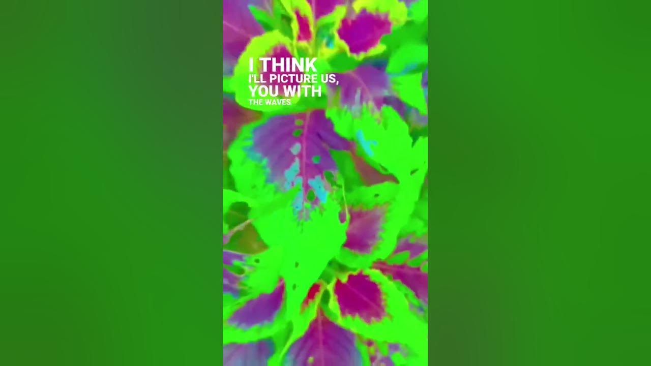 blue song #love❤️ #song #trending #viral #music #viralvideo #natureviralshorts