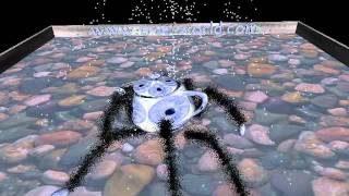 True-World System dynamics software : spider