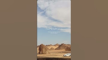 #قران_كريم #قرآن #قران #راحة_نفسية #تلاوة_هادئة #تلاوة_خاشعة #تلاوات #تلاوة #اكسبلور #لايك #دويتو