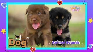 Animal Sounds for Kids | Cat, Dog, Duck, Parrot & Sheep Sounds – Fun Learning Video! screenshot 2