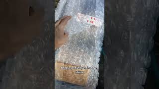 What Happened To The Package? I Open It And...