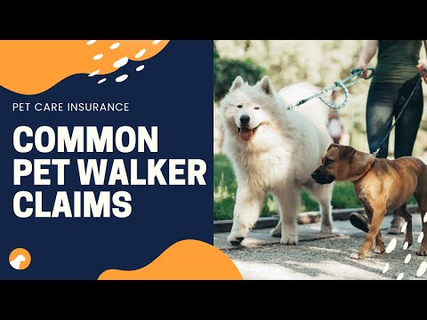 Do Dog Walkers Need Insurance?