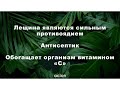 04 07 19, Наталья Шабанова «Виоргон 17, ответы на вопросы»