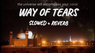 The way of the tears [ slowed   reverb   lyrics New version ]#viral