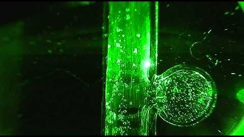 flow visualization around aneurysm model (Re=1700)