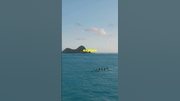 How Ancient Polynesians Mastered seas #shorts