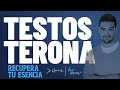 Cómo Mejorar La Disponibilidad [Natural] De Tu Testosterona