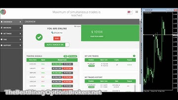 SCAM ALERT: Pip365 review