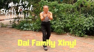 The Rare Art Of Dai Family Xinyi Quan - Exploring Xingyi Quan Ep8