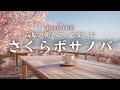 【春カフェBGM】高原の朝カフェで楽しむ 桜ボサノバ｜軽やかでやさしい春のBGM｜Highland Café Ease – Soft bossa nova for calm mornings