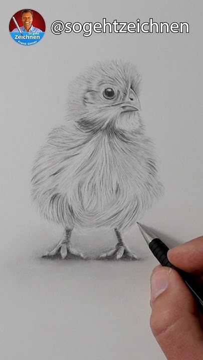 Osterküken zeichnen - Zu Ostern ein Küken mit Bleistiften realistisch