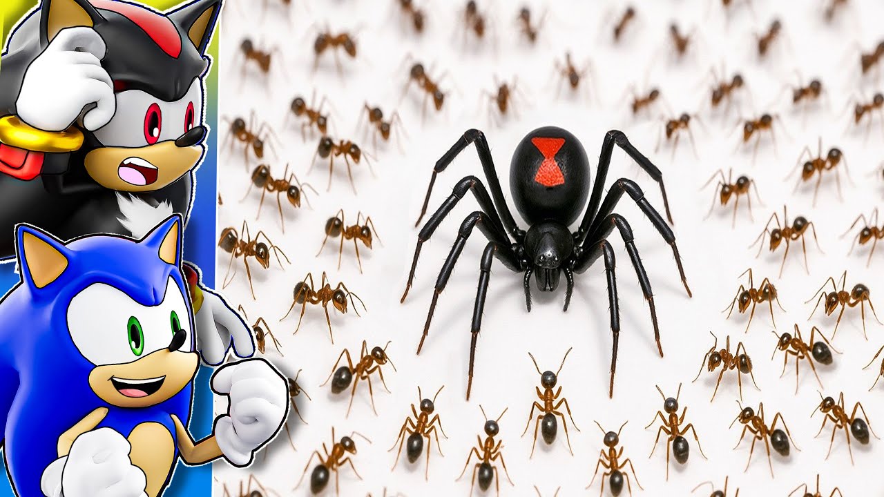 Sonic and Shadow REACT to 1000 Ants Vs 1 Black Widow!!