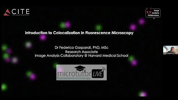 Introduction to Colocalization in Fluorescence Microscopy